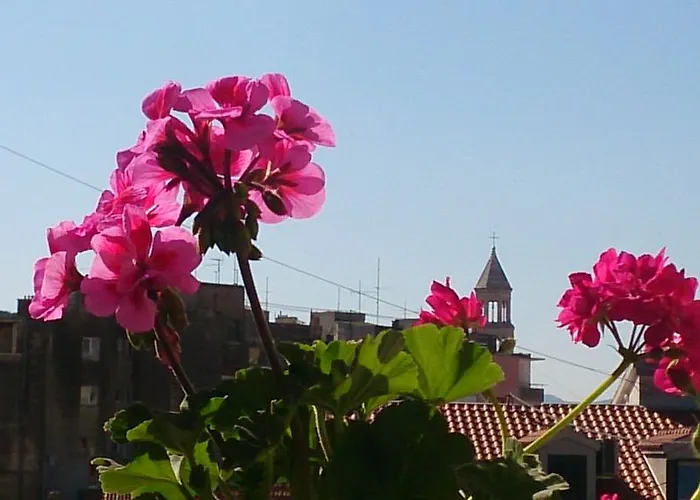 Apartment Spalatina *